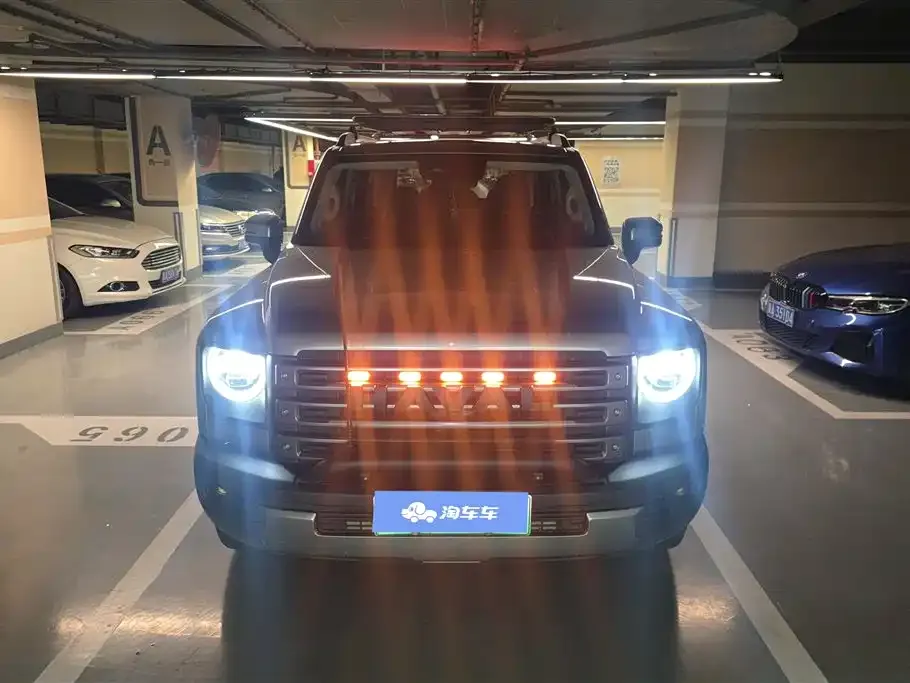 Haval Menglong New Energy 2024 из CN, фото 5