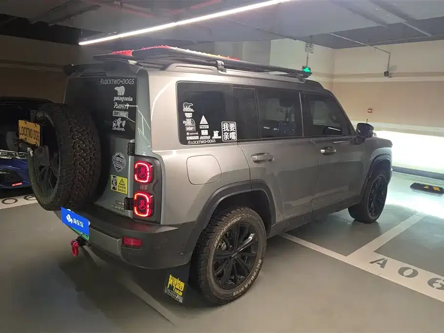 Haval Menglong New Energy 2024 из CN, фото 7