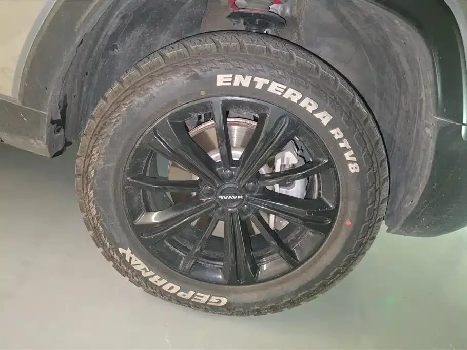 Haval Menglong New Energy 2024 из CN, фото 9