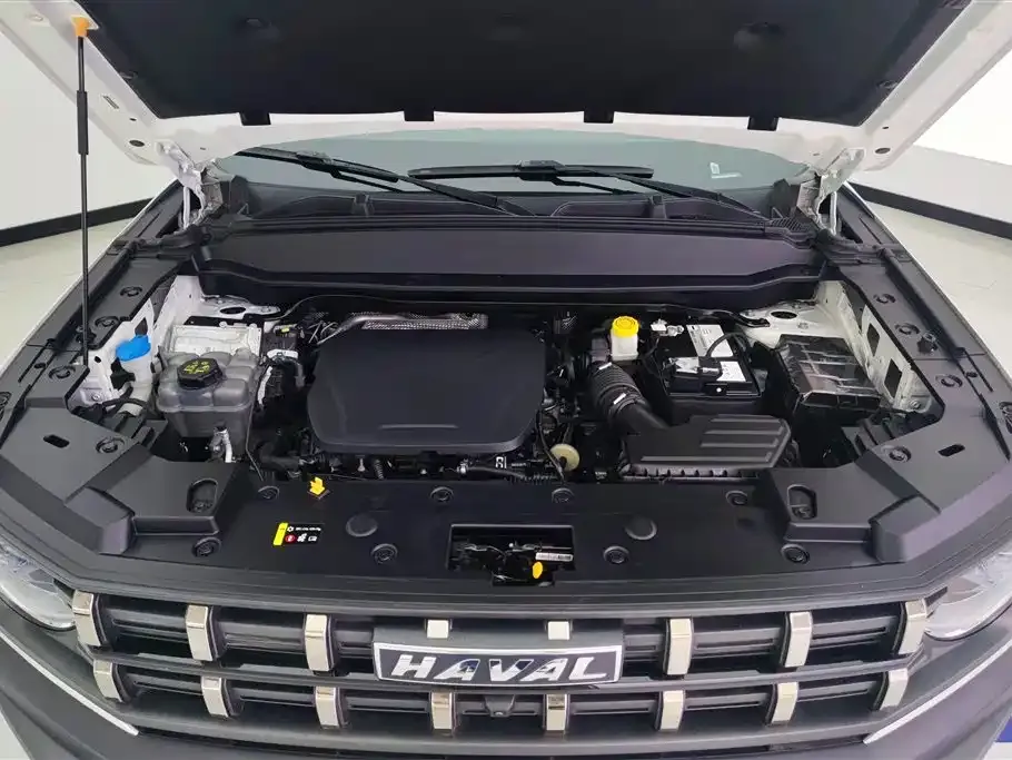 Haval Cool Dog 2023 из CN, фото 6