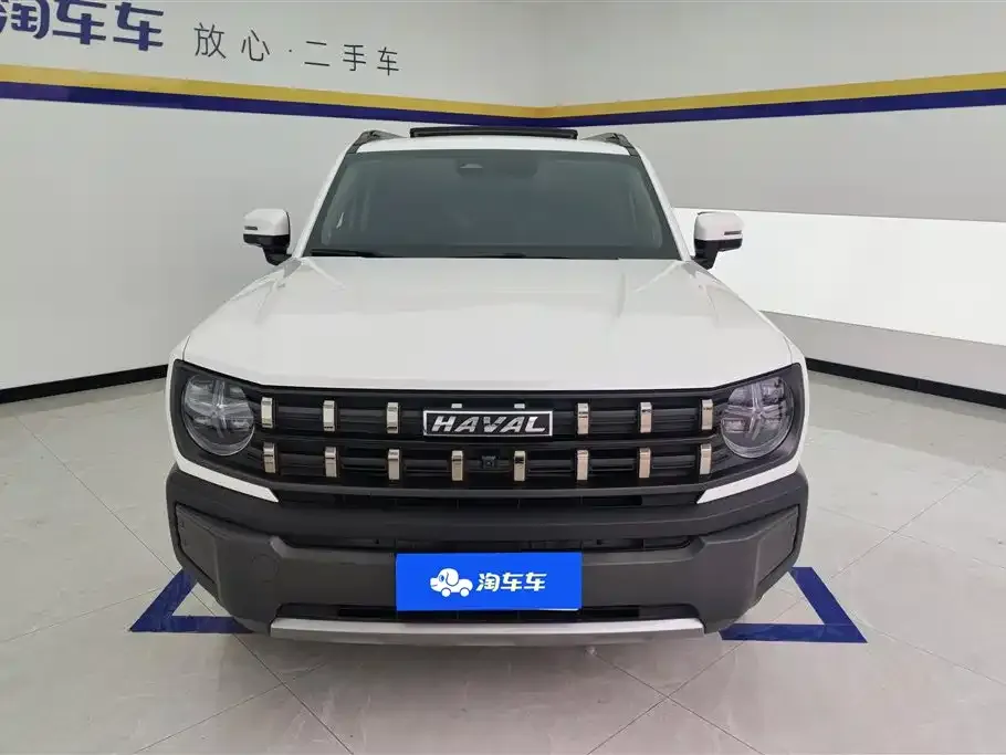 Haval Cool Dog 2023 из CN, фото 5