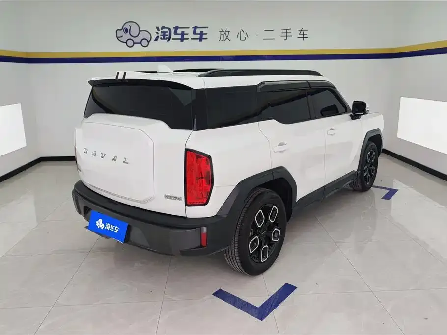 Haval Cool Dog 2023 из CN, фото 3