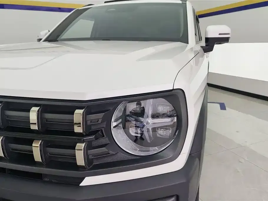 Haval Cool Dog 2023 из CN, фото 10
