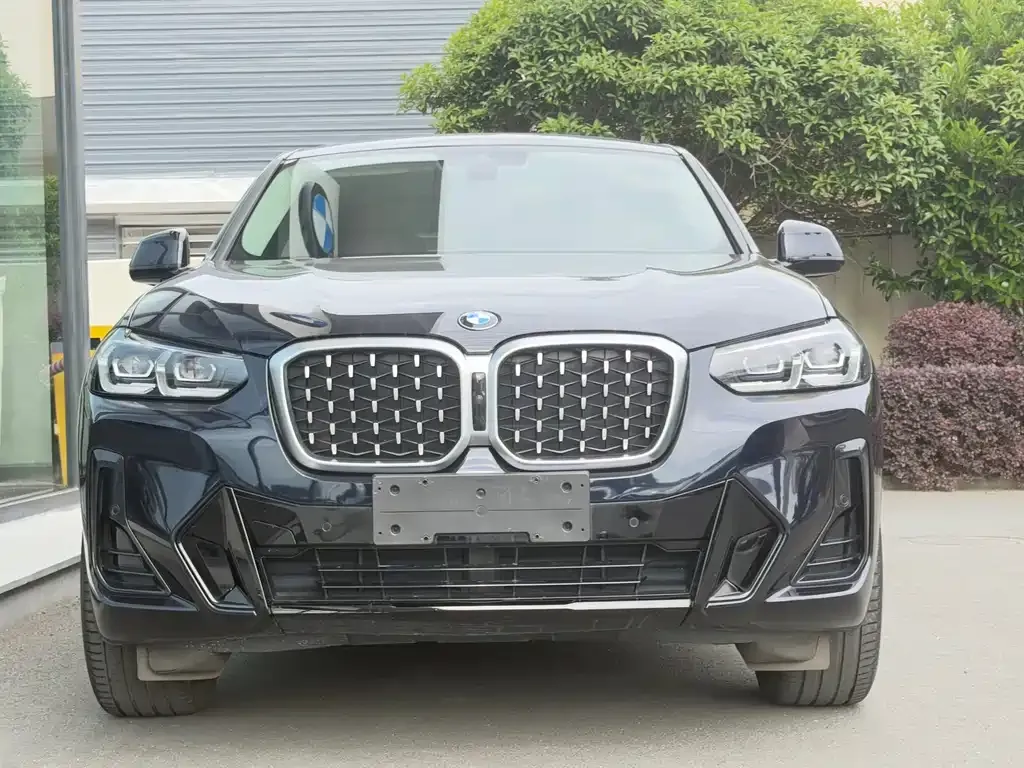 BMW X4 2024 из CN, фото 9