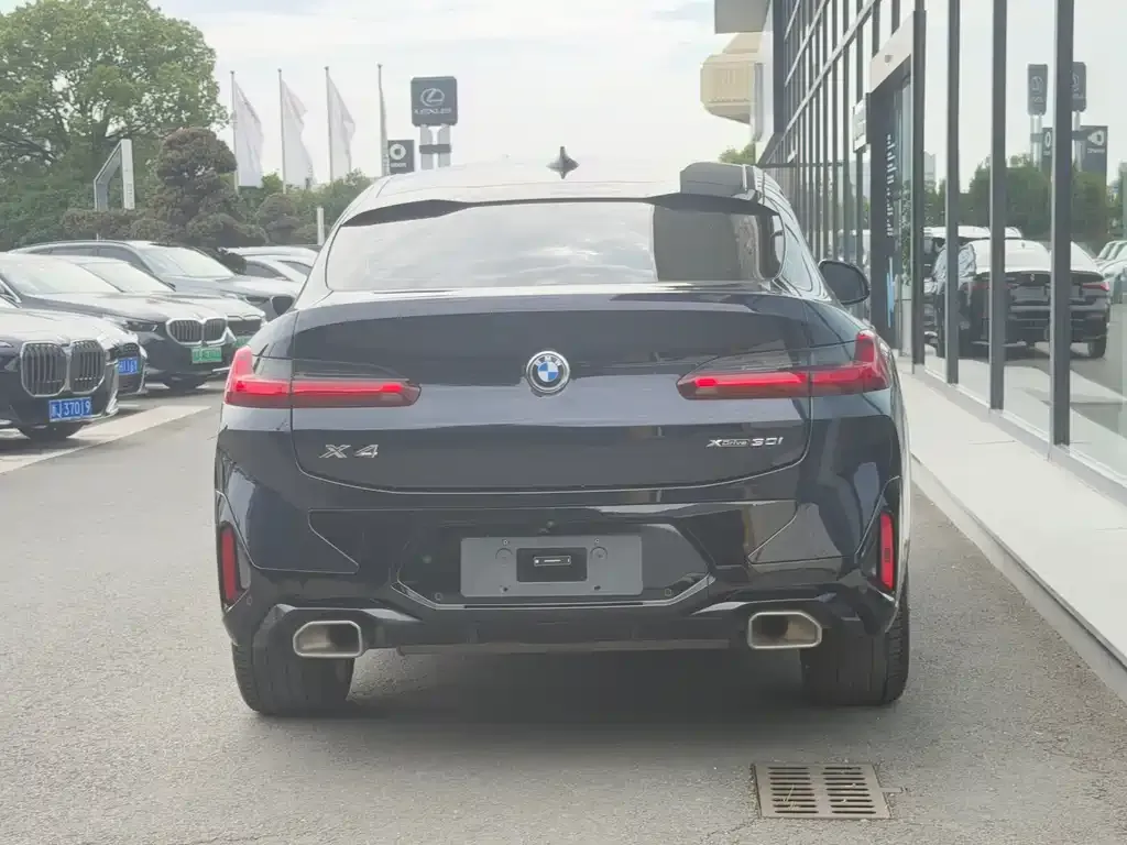 BMW X4 2024 из CN, фото 7