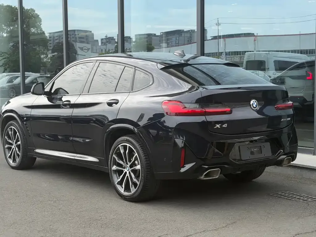 BMW X4 2024 из CN, фото 5