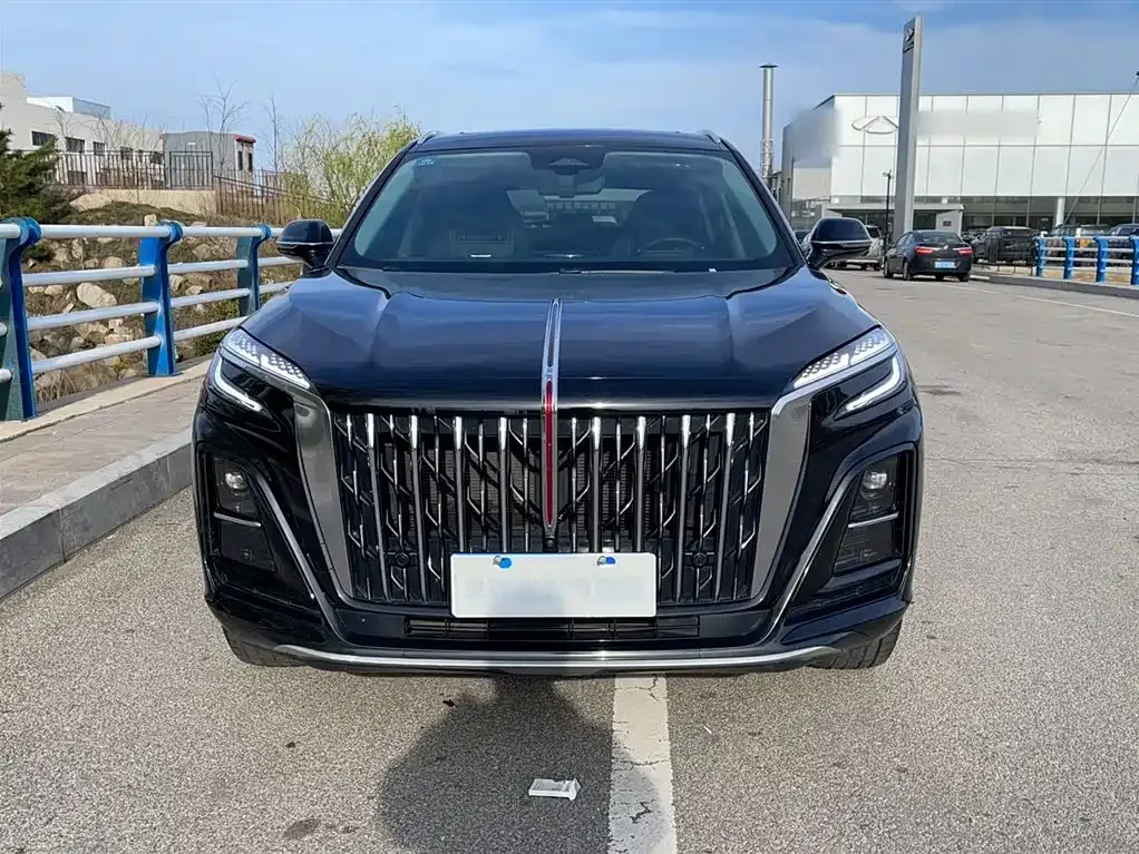 Hongqi HS3 2024 из CN, фото 5