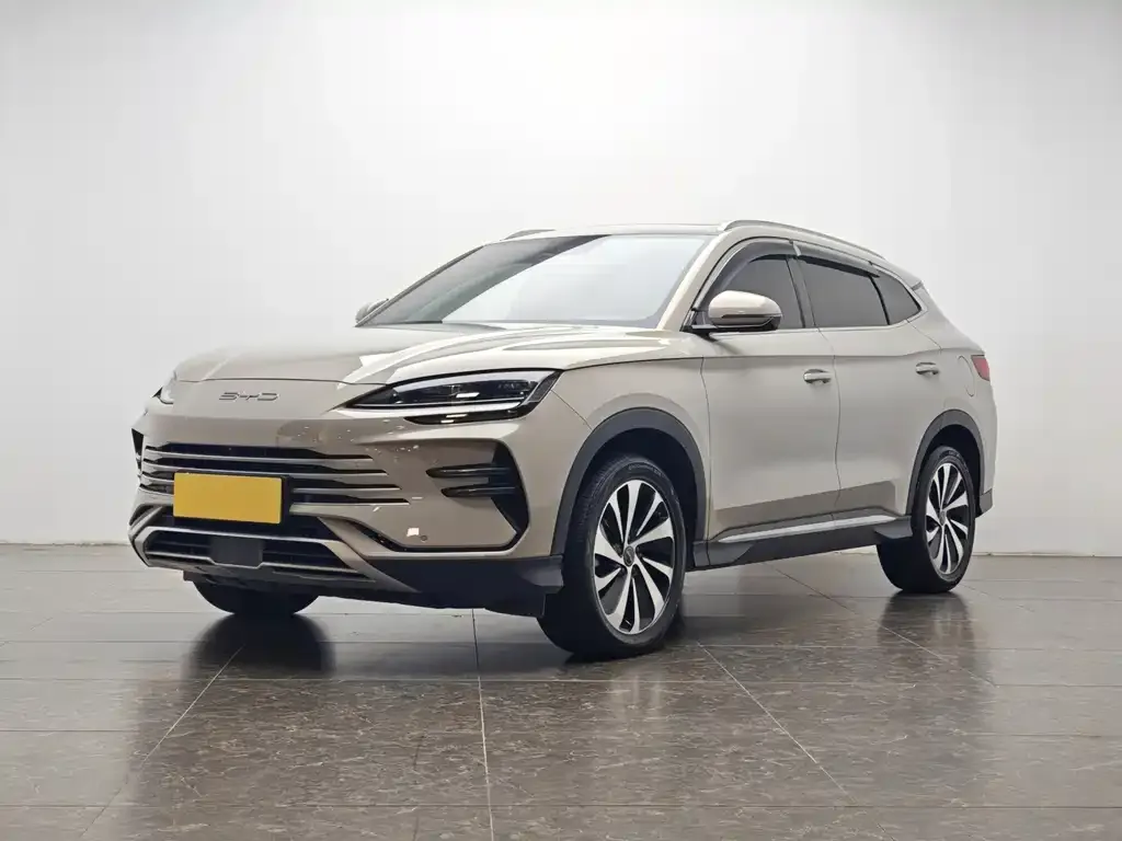 BYD PLUS New Energy — фото 1