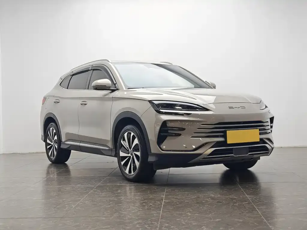 BYD PLUS New Energy — фото 4