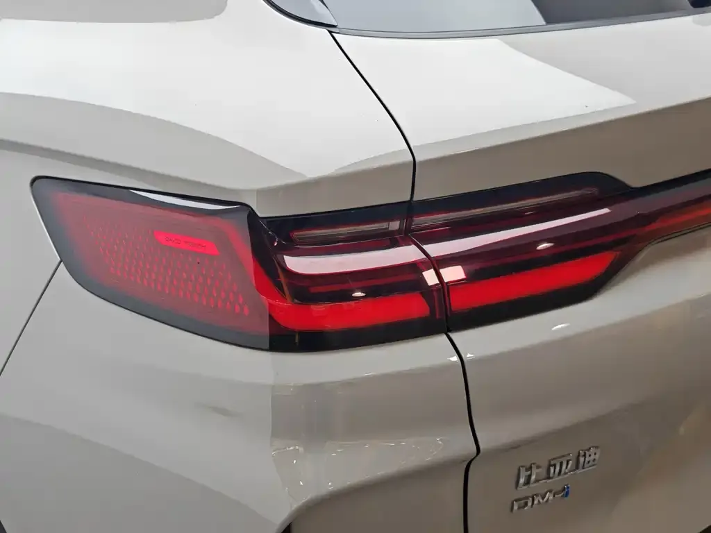 BYD PLUS New Energy — фото 2