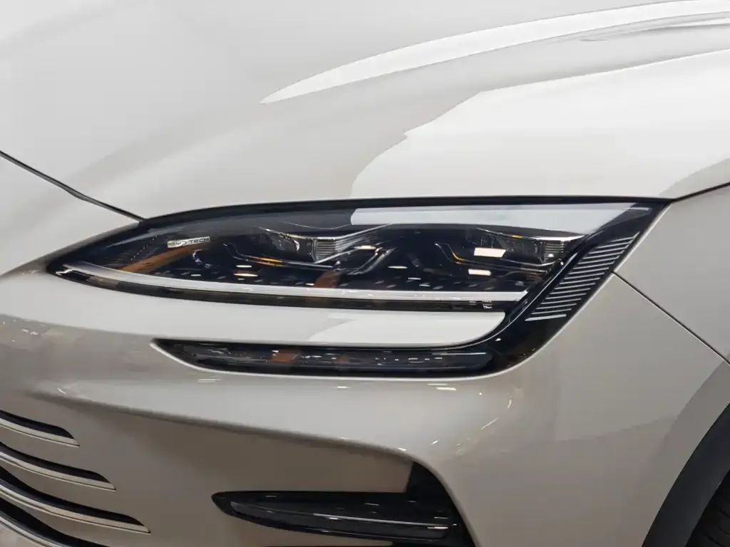BYD PLUS New Energy — фото 10