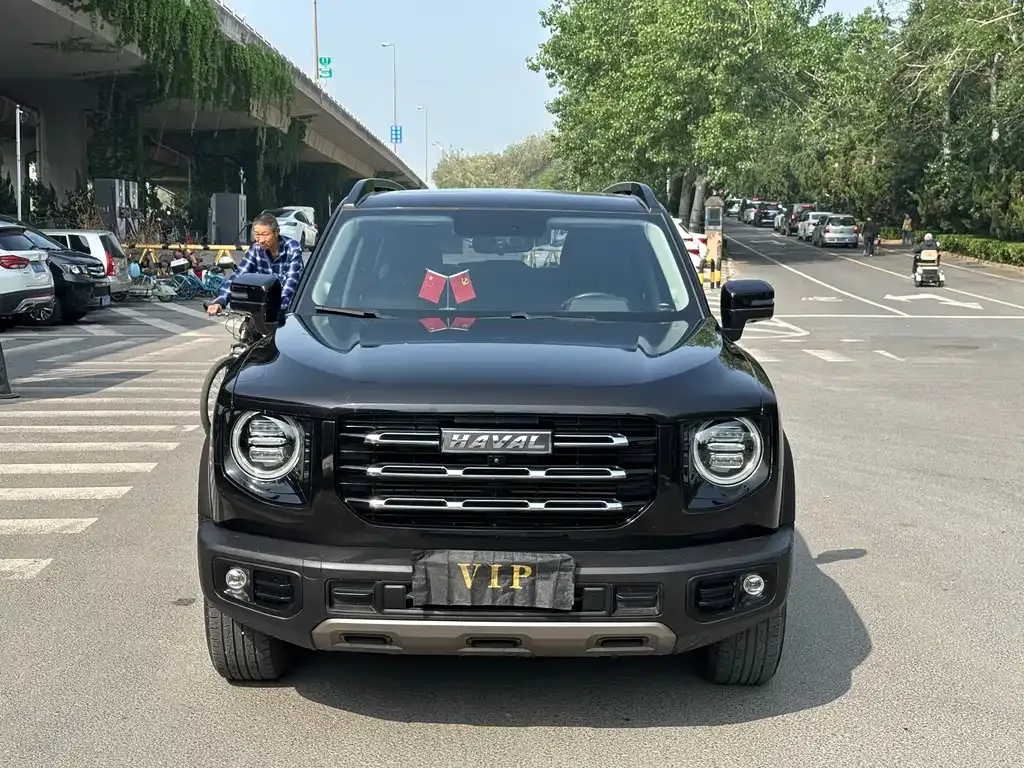 Haval Big Dog 2021 из CN, фото 4