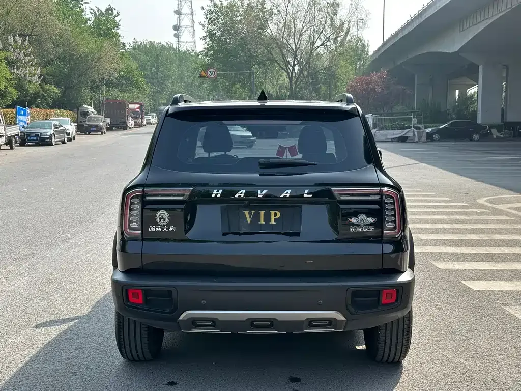 Haval Big Dog 2021 из CN, фото 8