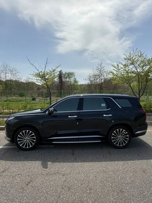 Hyundai Palisade — фото 10