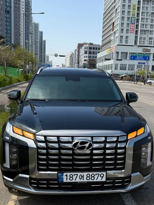 Hyundai Palisade — фото 6