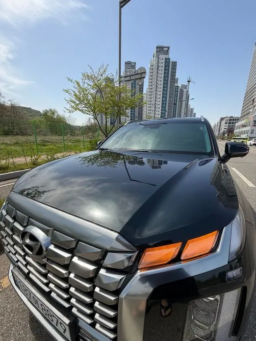 Hyundai Palisade — фото 8