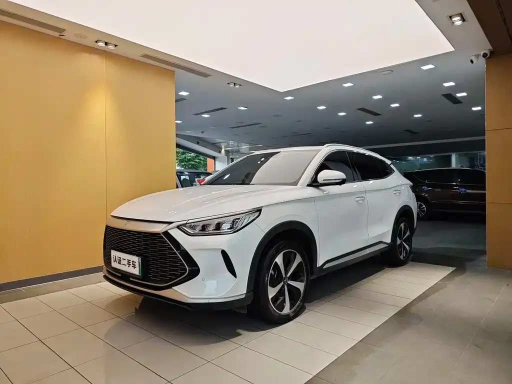 BYD PLUS New Energy 2022 из CN, фото 1