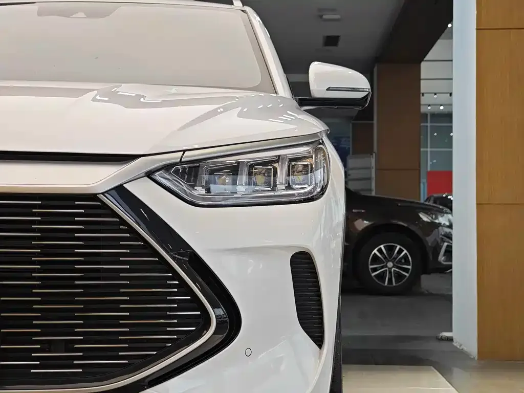 BYD PLUS New Energy 2022 из CN, фото 5