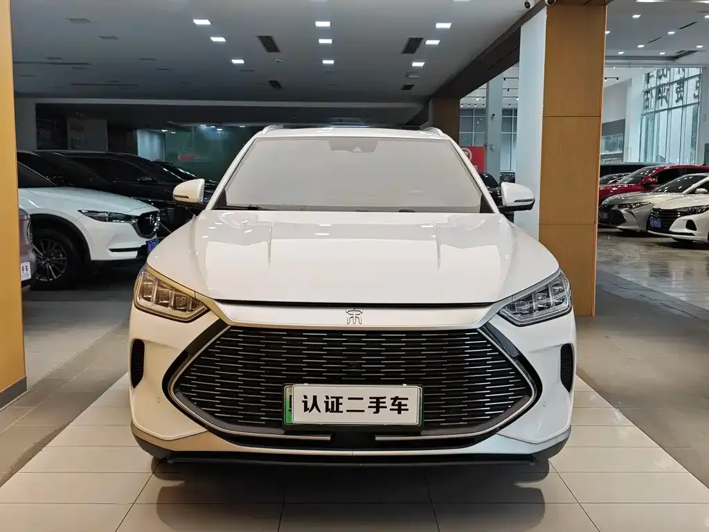 BYD PLUS New Energy 2022 из CN, фото 3