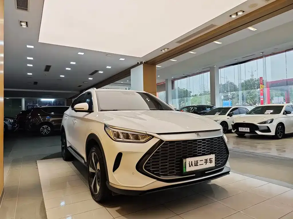 BYD PLUS New Energy 2022 из CN, фото 4