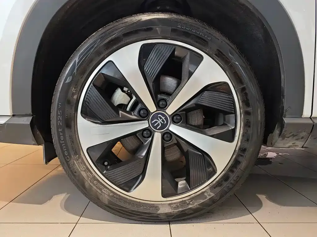 BYD PLUS New Energy 2022 из CN, фото 8