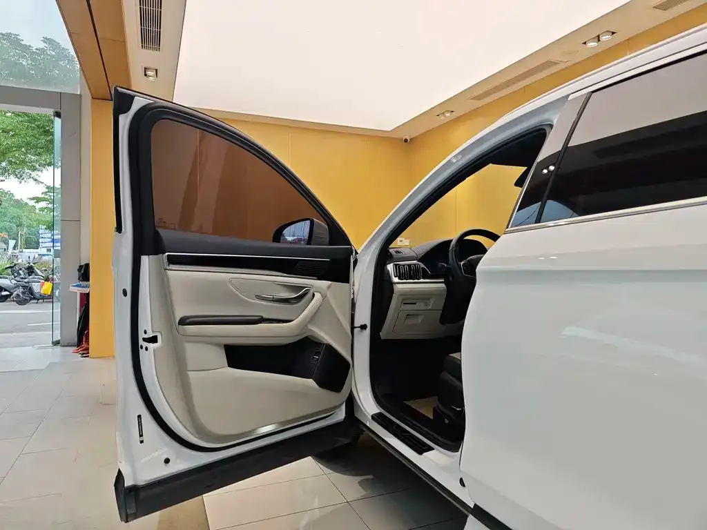 BYD PLUS New Energy 2022 из CN, фото 2