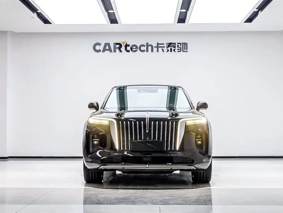 Hongqi E-HS9 2021 из CN, фото 3