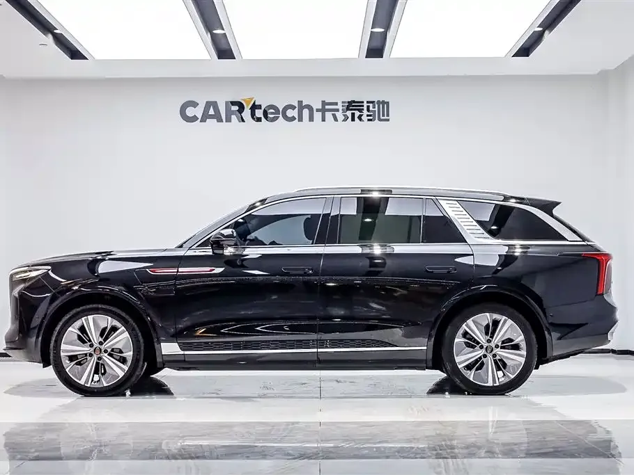 Hongqi E-HS9 2021 из CN, фото 9