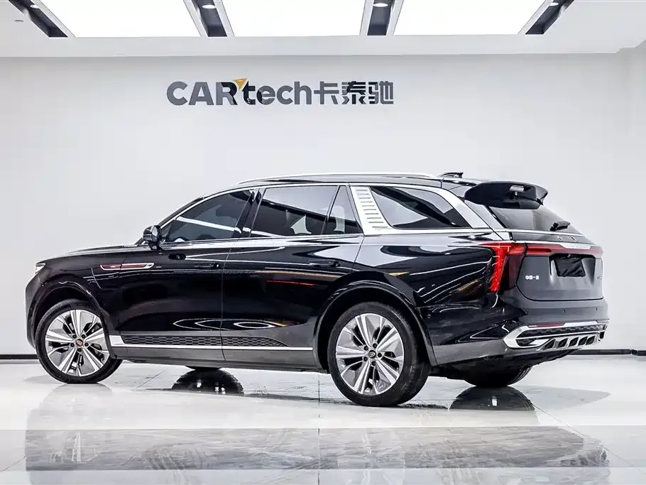 Hongqi E-HS9 2021 из CN, фото 8