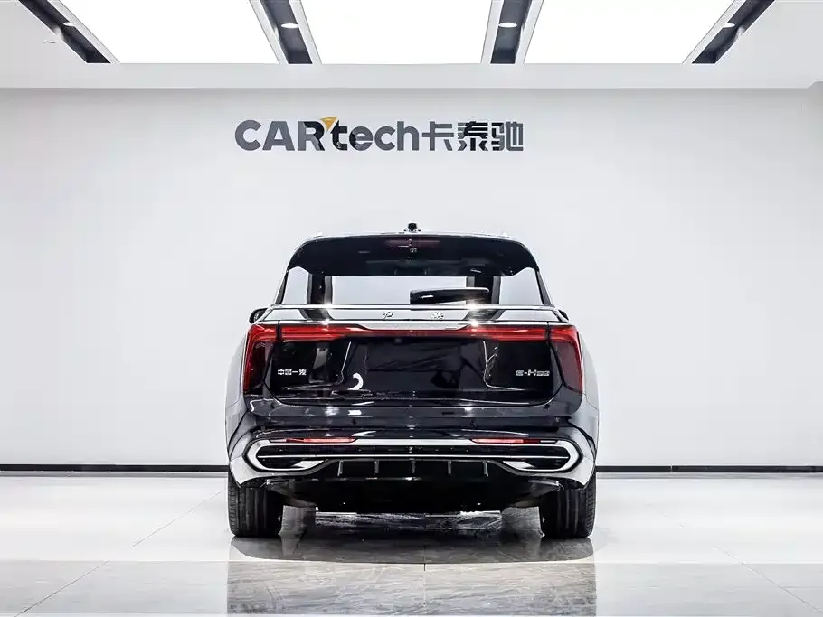 Hongqi E-HS9 2021 из CN, фото 5