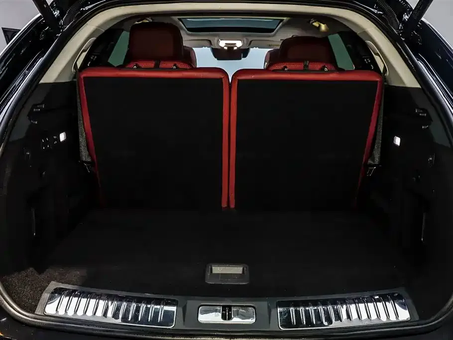 Hongqi E-HS9 2021 из CN, фото 4