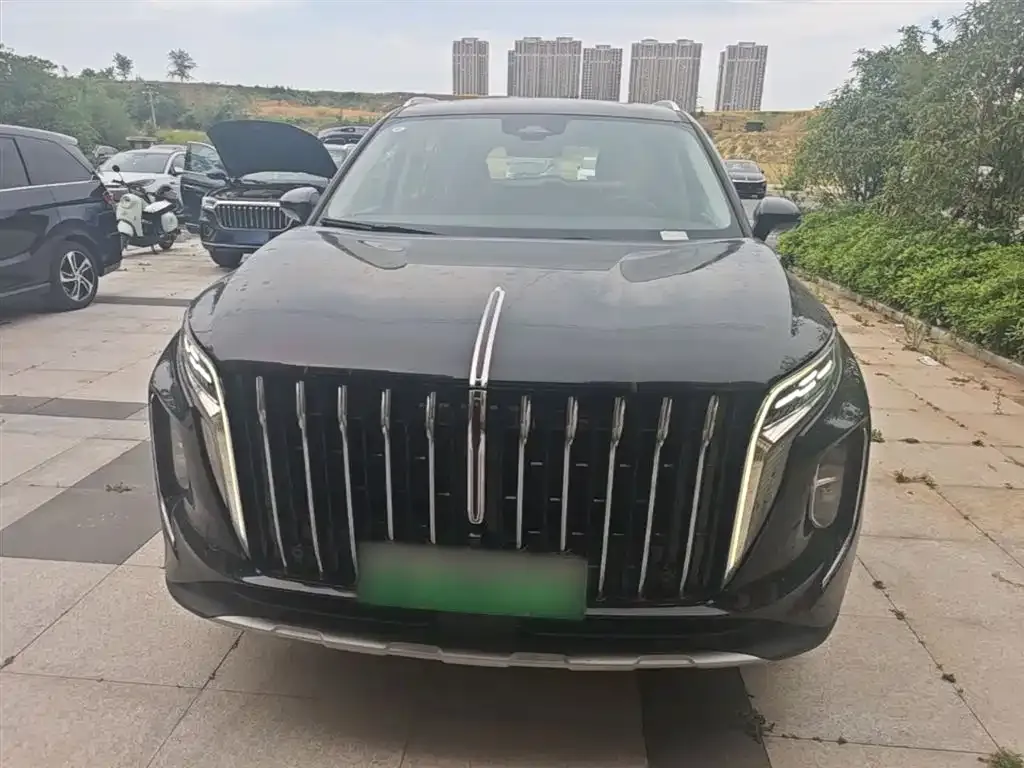 Hongqi HS7 PHEV 2024 из CN, фото 8