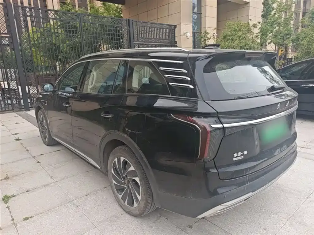 Hongqi HS7 PHEV 2024 из CN, фото 6