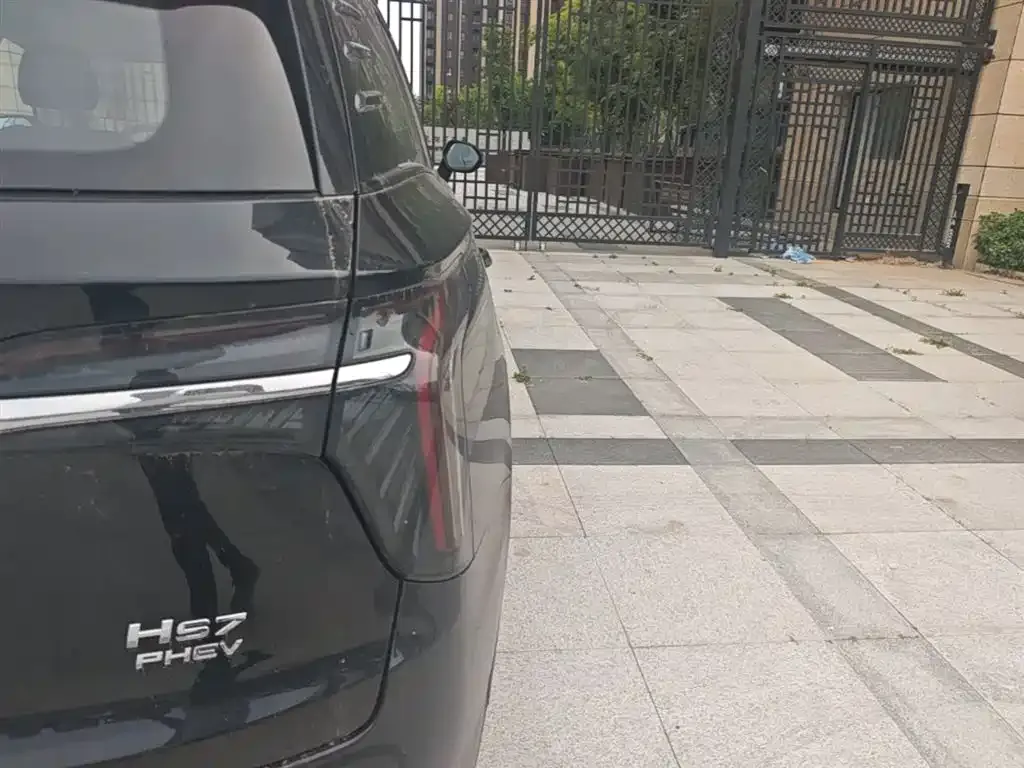 Hongqi HS7 PHEV 2024 из CN, фото 10
