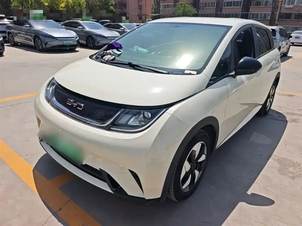 BYD Dolphin