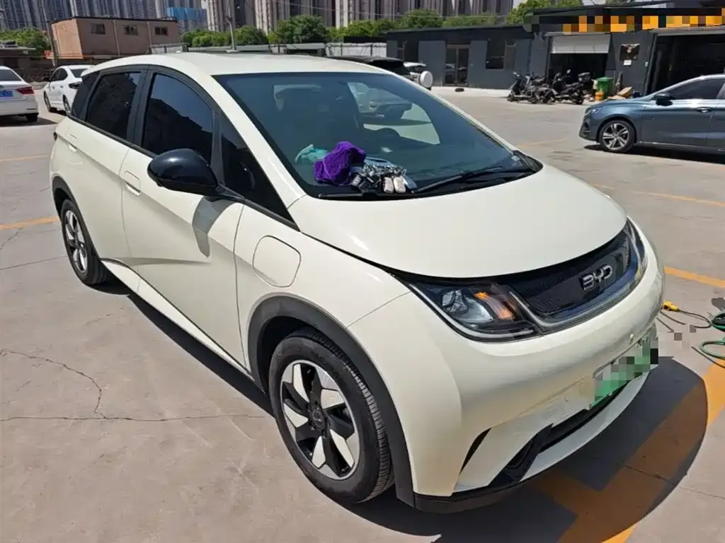 BYD Dolphin 2024 из CN, фото 2