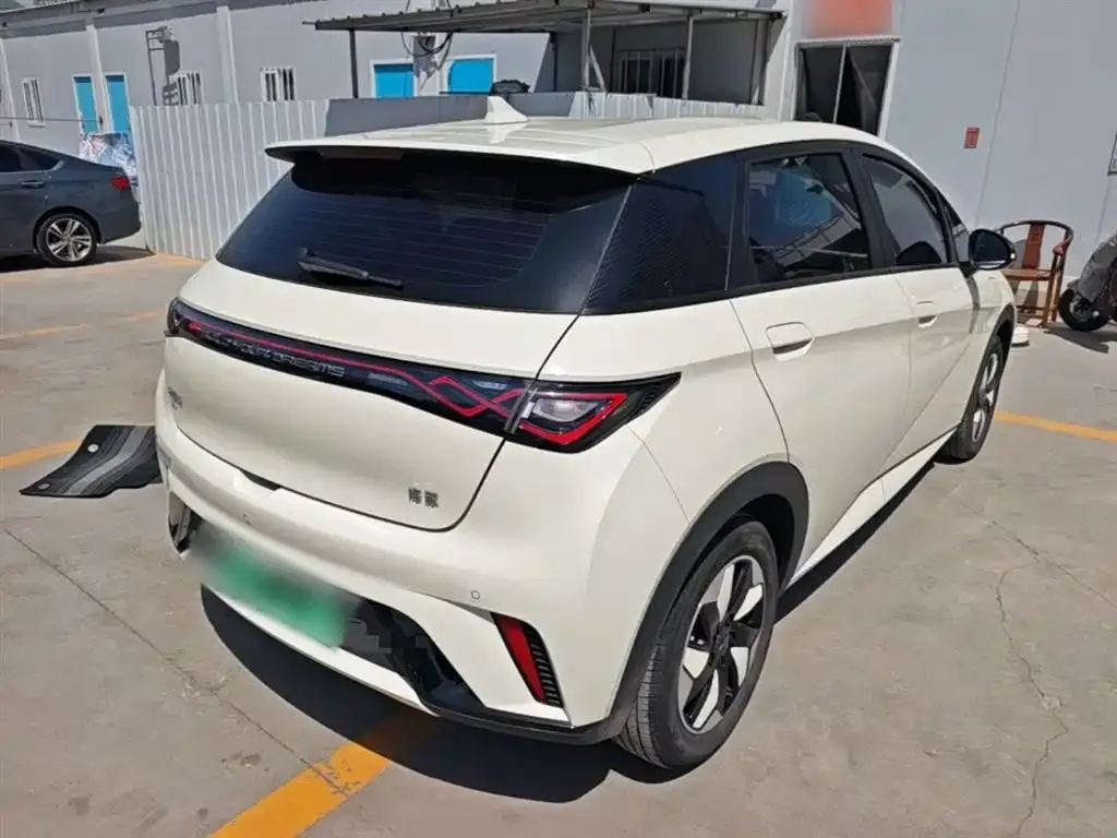 BYD Dolphin 2024 из CN, фото 4