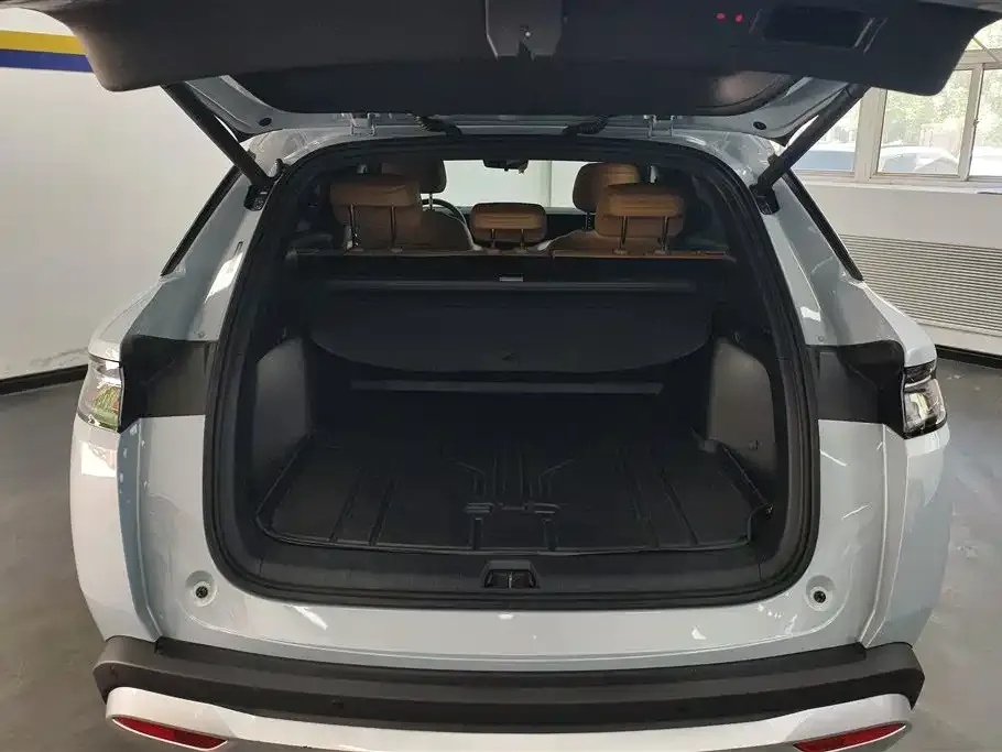 BYD L DM-i — фото 3