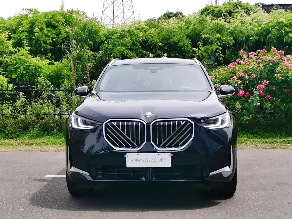 BMW X3 2025 из CN, фото 8