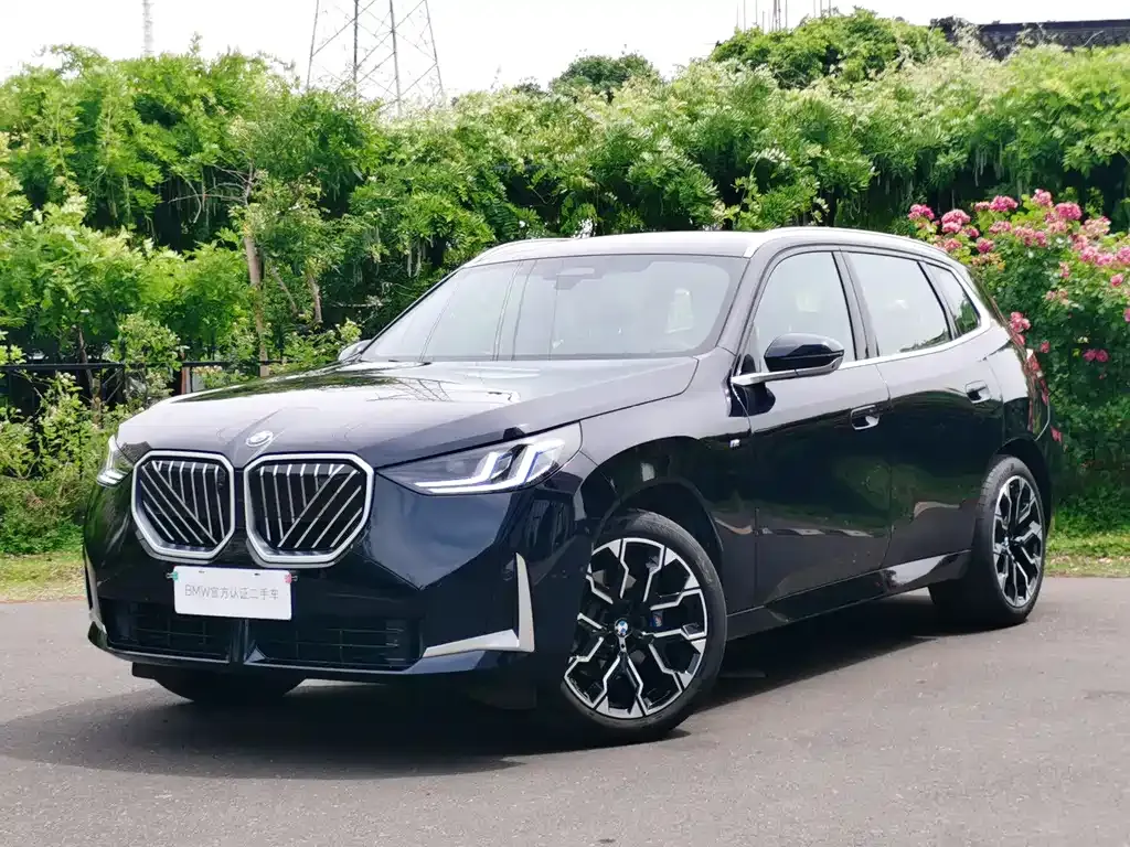 BMW X3 2025 из CN, фото 7