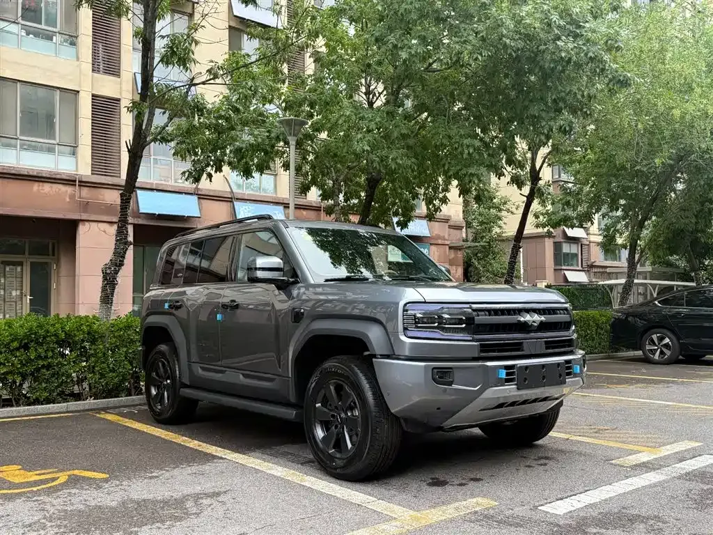 Fang Cheng Bao Leopard 5 — фото 8