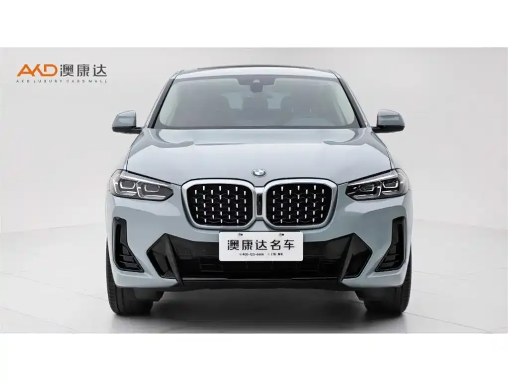 BMW X4 2024 из CN, фото 2