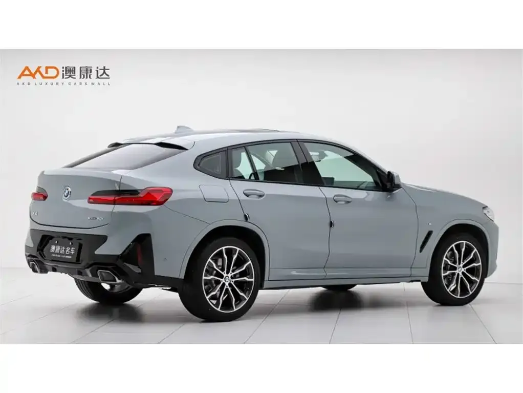 BMW X4 2024 из CN, фото 7