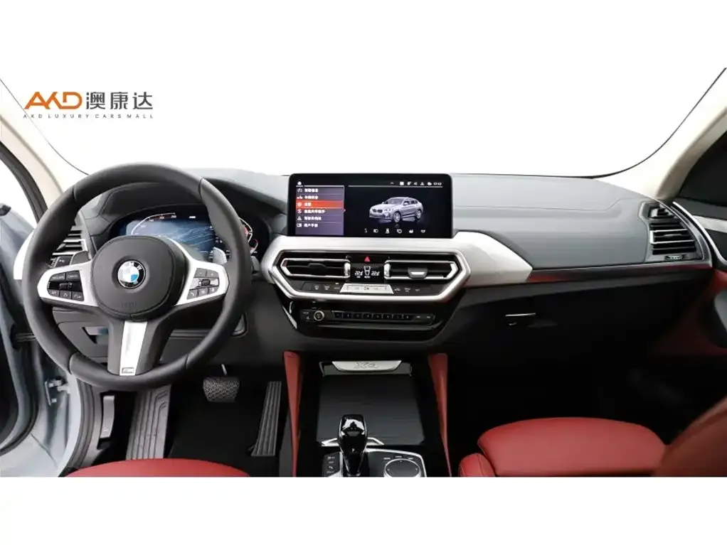BMW X4 2024 из CN, фото 9