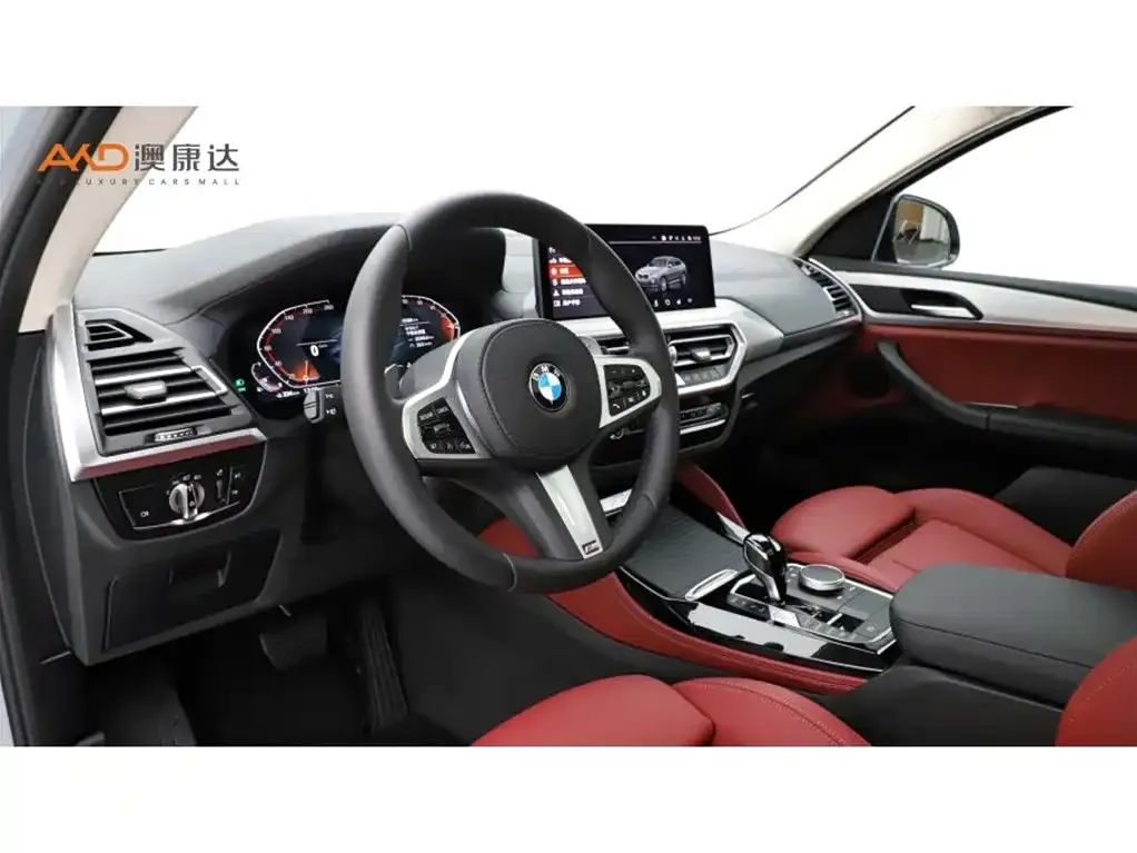 BMW X4 2024 из CN, фото 5
