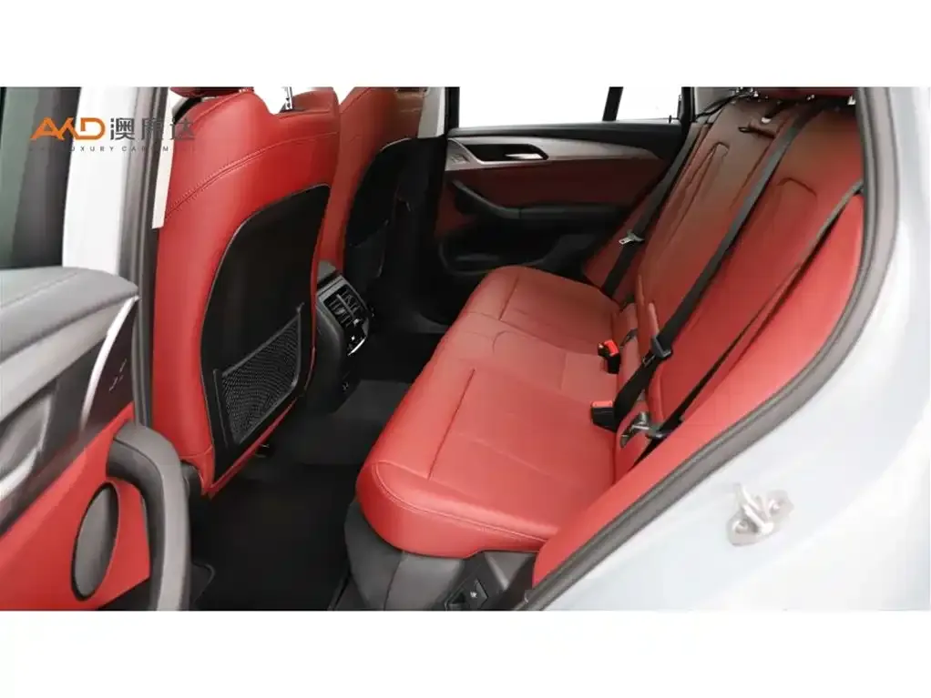 BMW X4 2024 из CN, фото 10