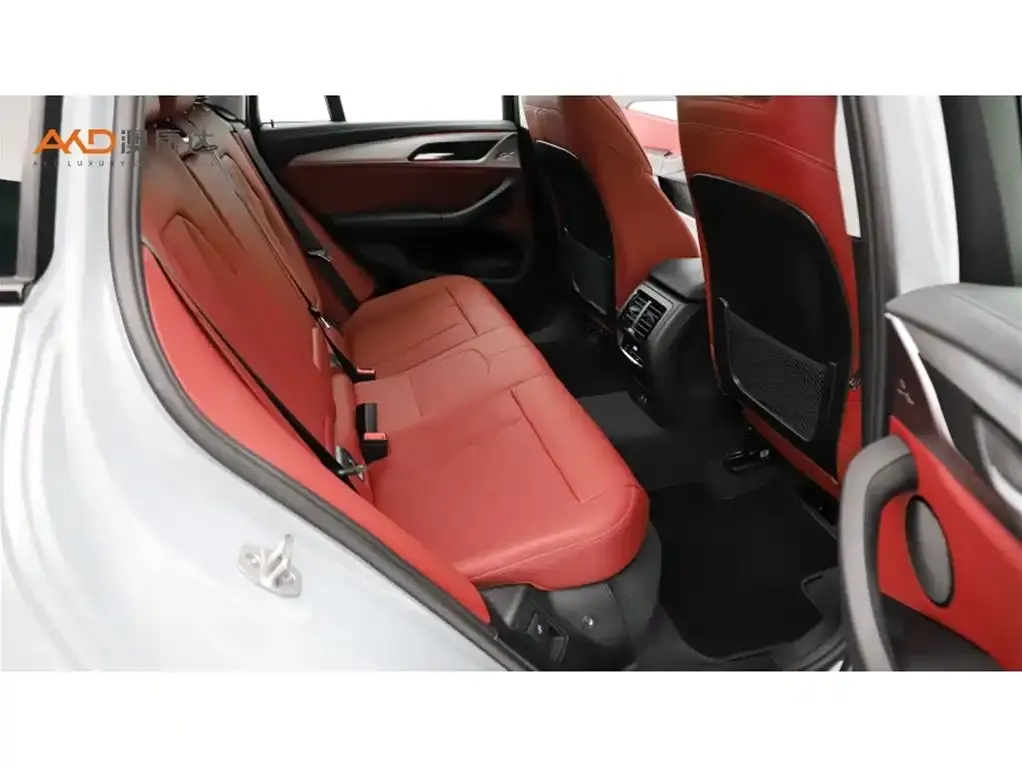 BMW X4 2024 из CN, фото 4