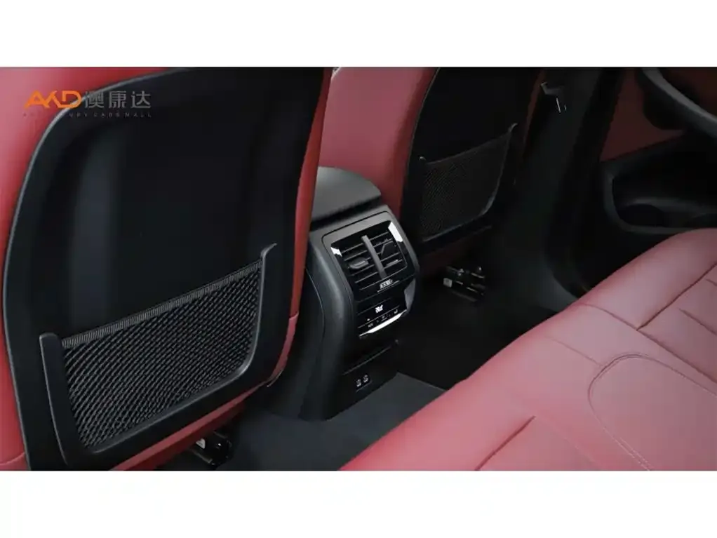 BMW X4 2024 из CN, фото 8