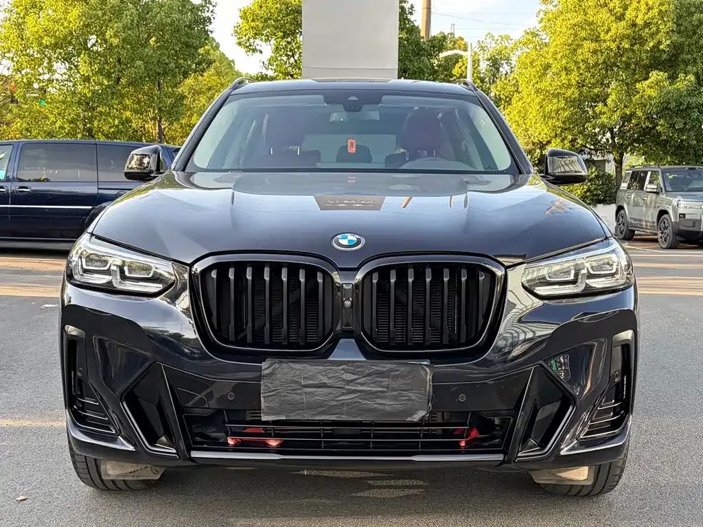BMW X3 2022 из CN, фото 9