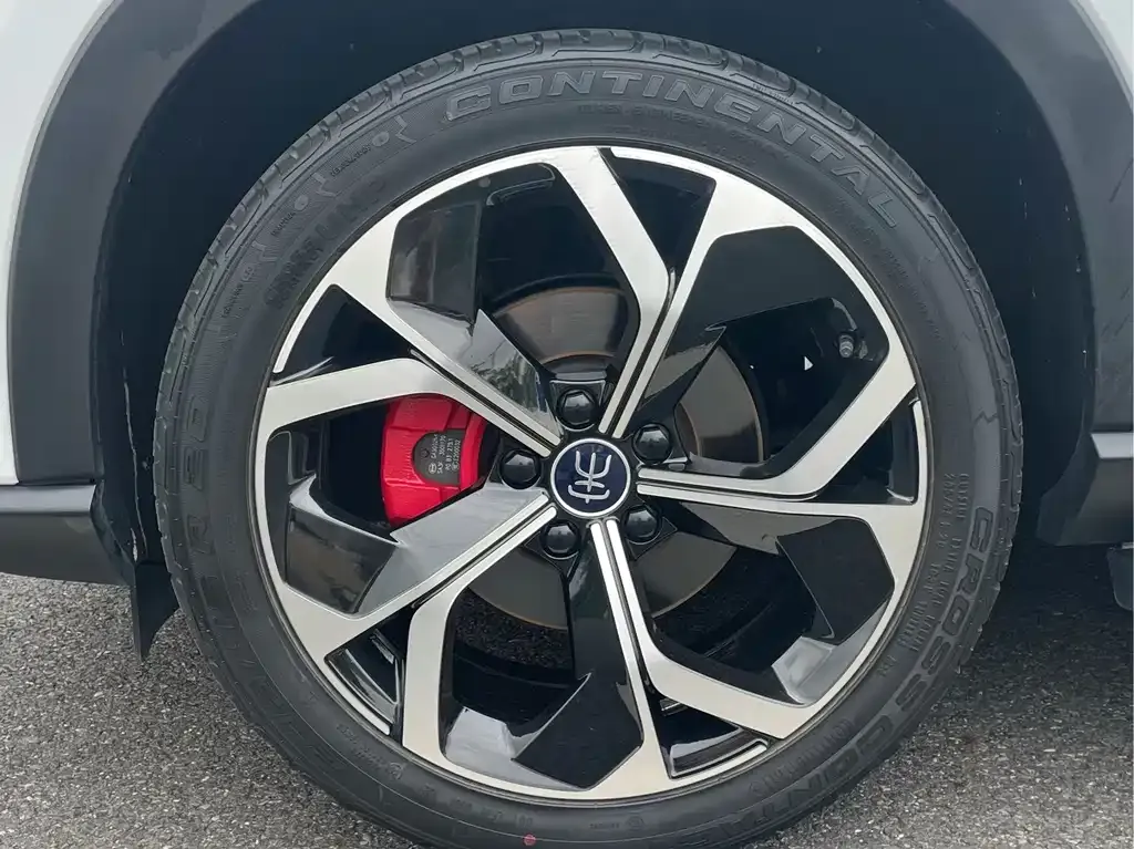 BYD PLUS 2022 из CN, фото 2